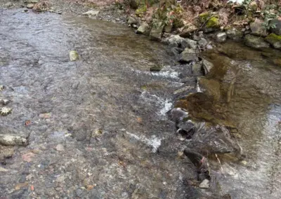 Ein klarer Bach mit fließendem Wasser und Steinen am Ufer, umgeben von schneebedecktem Boden und Pflanzen.
